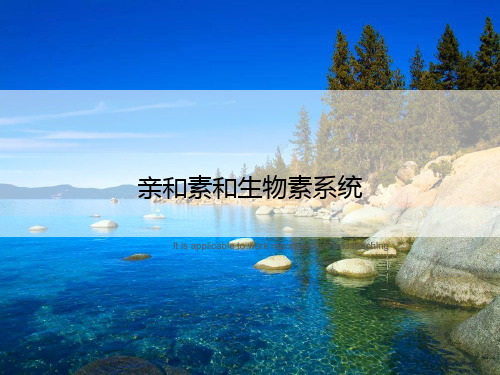 亲和素和生物素系统