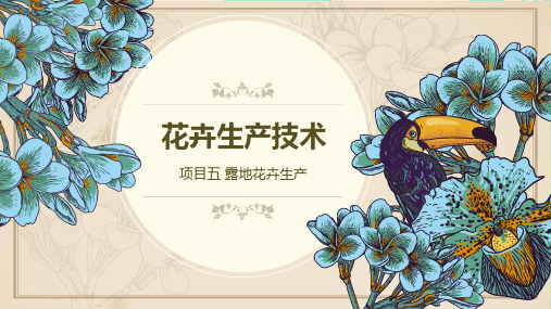 项目五 露地花卉生产