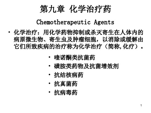 药物化学第九章化学治疗药PPT课件