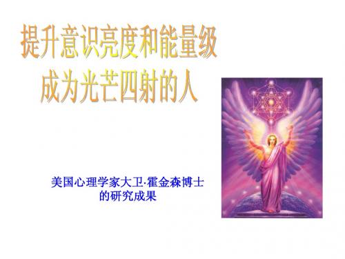 霍金斯的能量层级