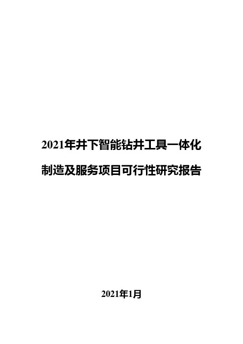 2021年井下智能钻井工具一体化制造及服务项目可行性研究报告