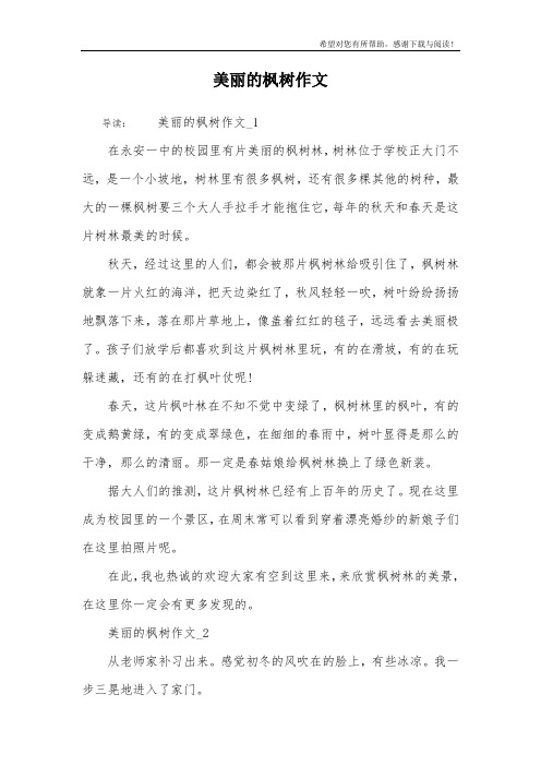 美丽的枫树作文
