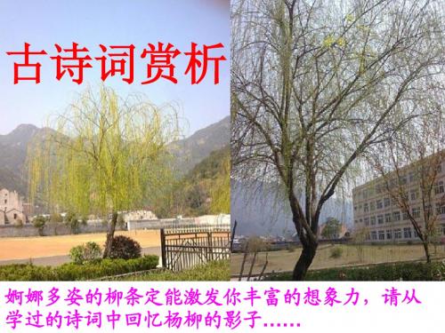 公开课文言文复习之古诗词赏析
