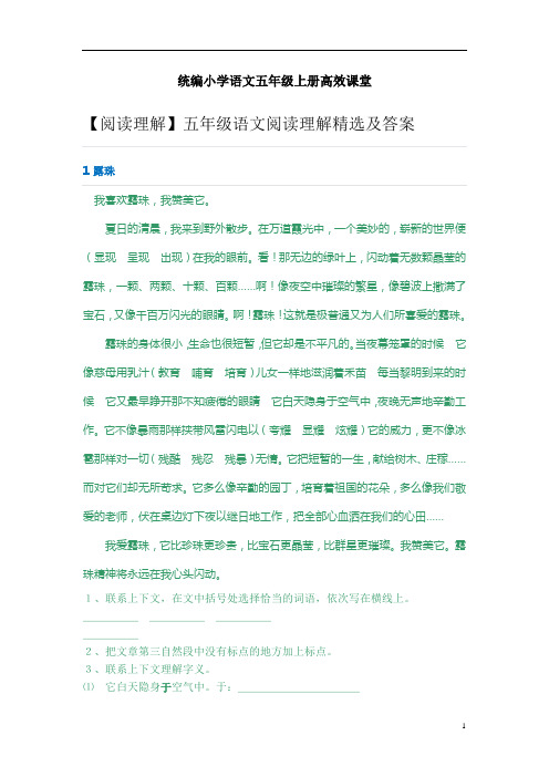 统编小学语文五年级上册高效课堂：【通用版】2019年阅读理解精选及答案(Word版,11页,含答案)