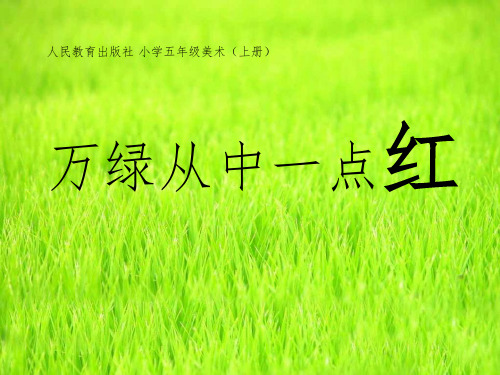 五年级美术(上册)课件-《万绿丛中一点红》2