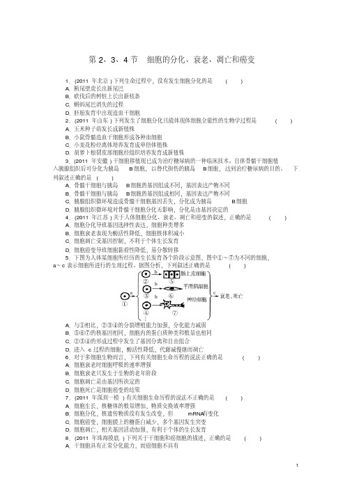 【高考风向标】(广东专用)2013版高考生物第一轮总复习第6章第2、3、4节细胞的分化、衰老、凋亡和