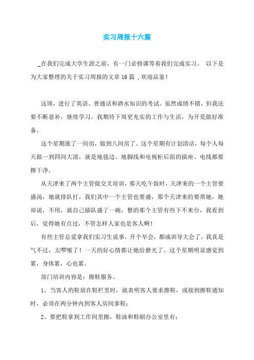 实习周报十六篇