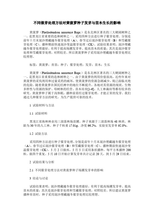 不同催芽处理方法对黄菠萝种子发芽与苗木生长的影响