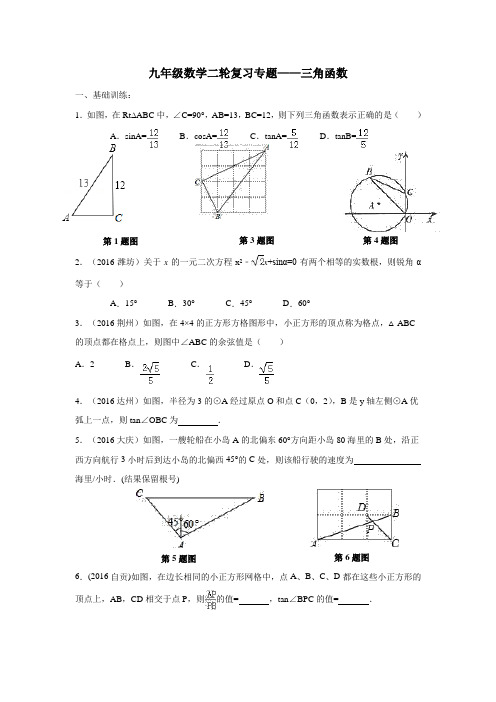 江苏省南京市溧水区孔镇中学2018届中考数学二轮专题复习练习：专题十三角函数(附答案)