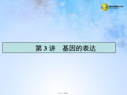 高考生物一轮复习 2.3 基因的表达课件 新人教版必修2