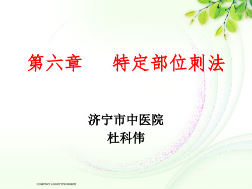 第六章 特定部位刺法(耳针法、头针法、眼针法、腕踝针法)