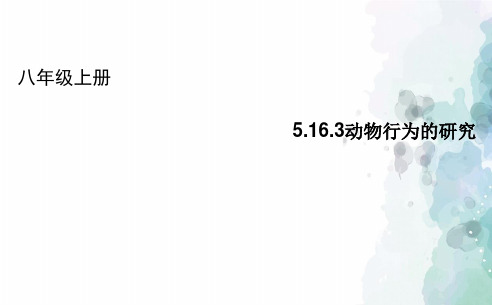北师大版生物-八年级上册5.16.3动物行为的研究课件