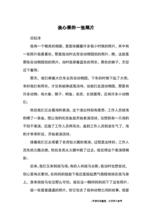 我心爱的一张照片_优秀作文