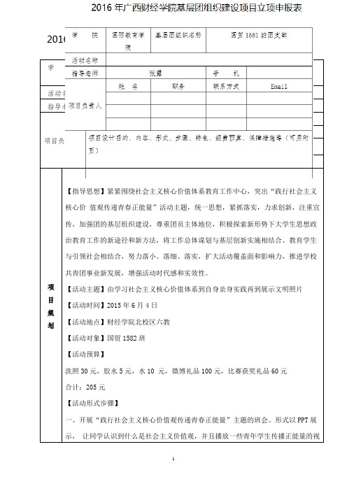 基层团组织建设项目立项申报表