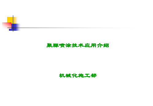 聚脲技术的应用-sz