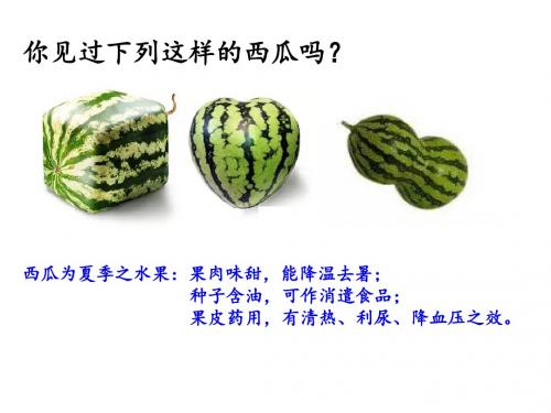 生物变异在生产上的应用