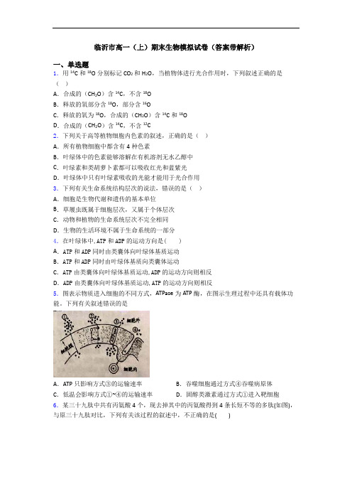 临沂市高一(上)期末生物模拟试卷(答案带解析)