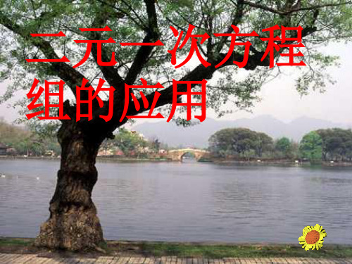 最全的二元一次方程组解决问题