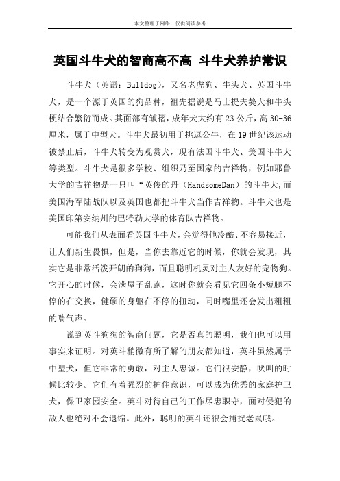 英国斗牛犬的智商高不高 斗牛犬养护常识