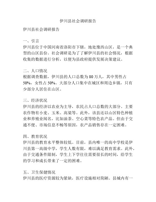 伊川县社会调研报告