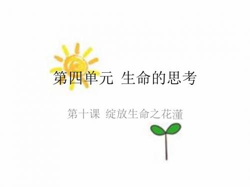 2017年秋人教版七年级上册(部编版)课件第十课 绽放生命之花第2课时  活出生命的精彩 (共29张PPT)