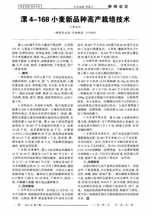 漯4-168小麦新品种高产栽培技术