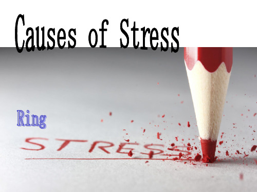 Causes of Stress引发压力的原因