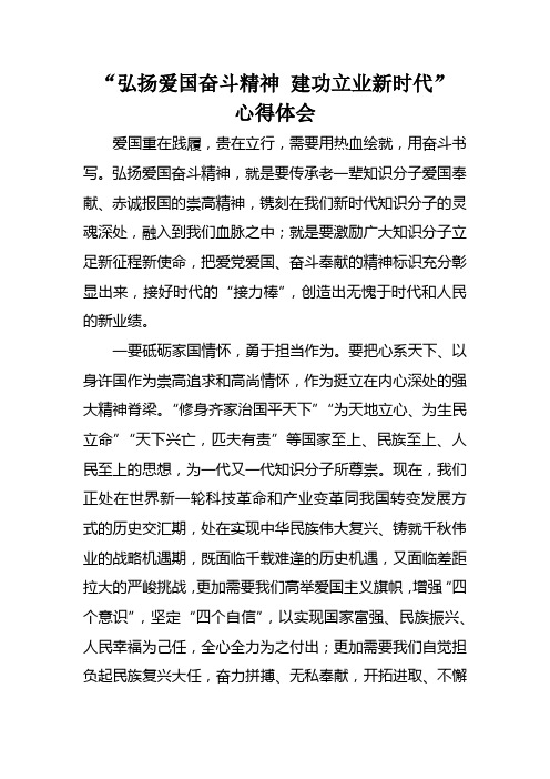 “弘扬爱国奋斗精神 建功立业新时代”心得体会