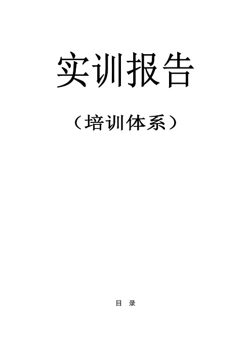 实训作业最终版本)