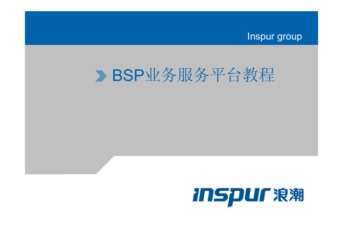浪潮Loushang+BSP(业务服务平台)