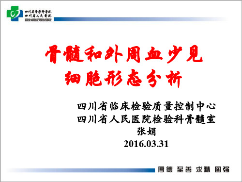 骨髓及外周血少见细胞形态分析