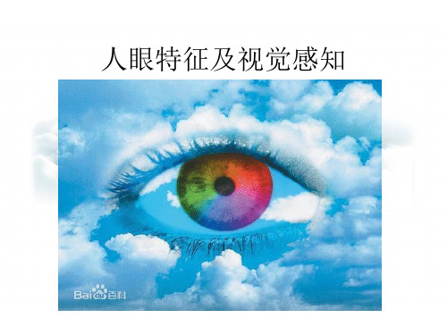 人眼特征及视觉感知解析