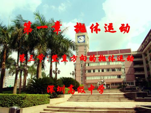 第三节 竖直方向的抛体运动