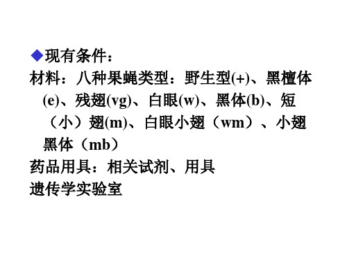 遗传学设计性实验