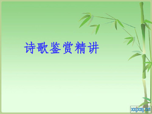 2021高三语文诗歌鉴赏精讲课件