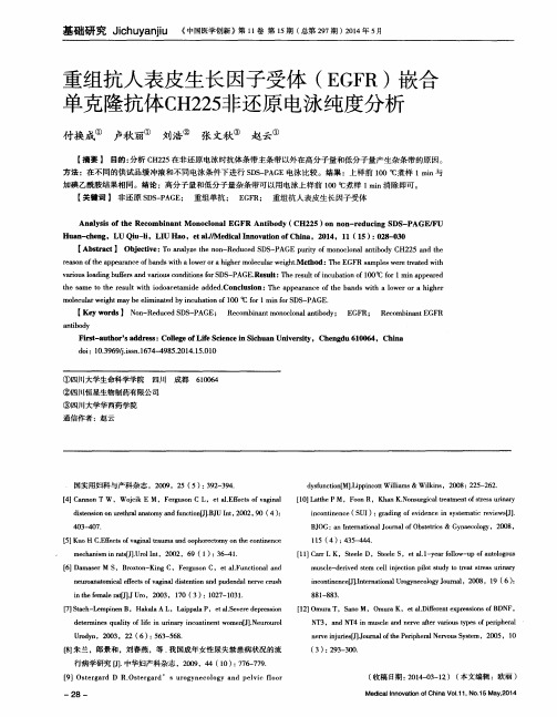 重组抗人表皮生长因子受体(EGFR)嵌合单克隆抗体CH225非还原电泳纯度分析