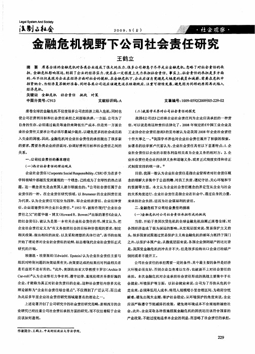 金融危机视野下公司社会责任研究