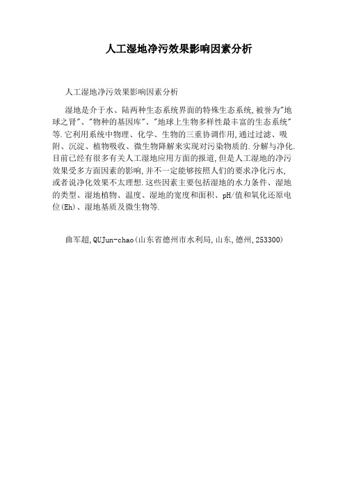 人工湿地净污效果影响因素分析
