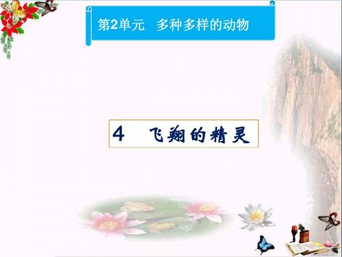四年级科学上册2.4飞翔的精灵 精品课件2湘教版