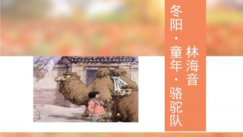 6 冬阳童年骆驼队
