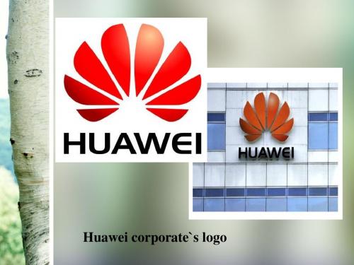 Huawei公司英文简介