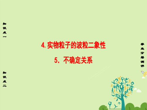 高中物理第4章波粒二象性4实物粒子的波粒二象性5不确定关系课件教科版选修3-5