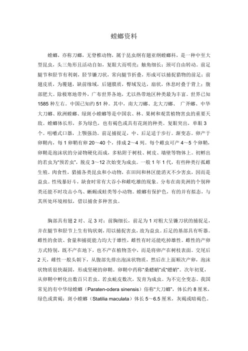 螳螂资料