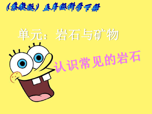 认识常见岩石课件-苏教版五年级科学下册课件