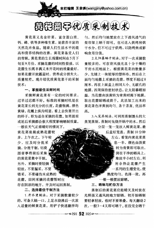 黄花菜干优质采制技术