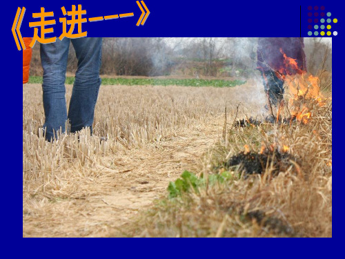 《走进——》半命题作文的发散思维