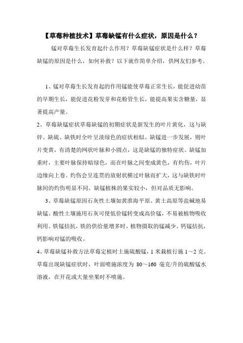 【草莓种植技术】草莓缺锰有什么症状,原因是什么？
