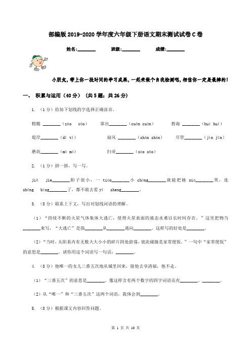 部编版2019-2020学年度六年级下册语文期末测试试卷C卷