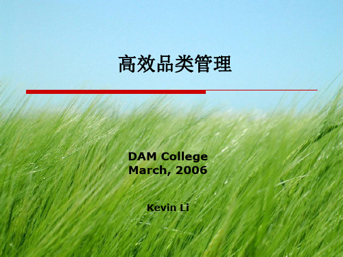 宝洁公司品类管理PPT