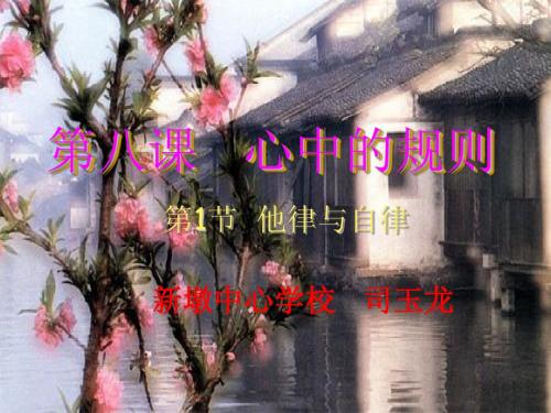 七年级下册第八课 心中的规则(教科版)